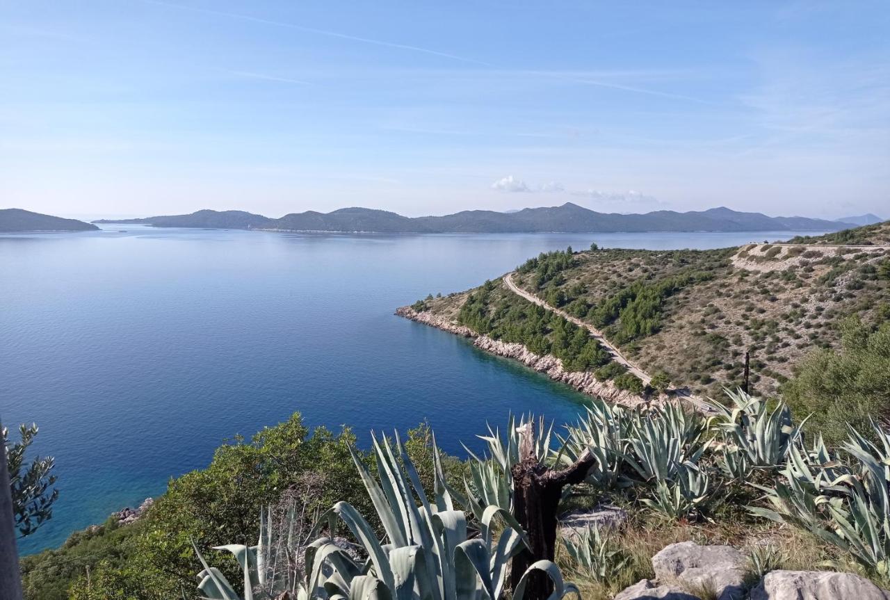 Apartment Lucija With Sea View Dubrovnik Exteriör bild